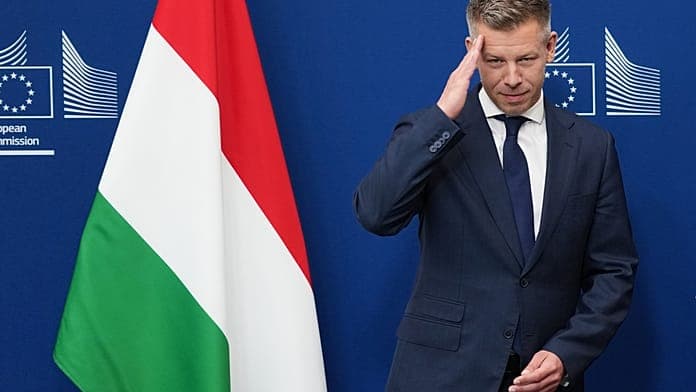 Hungary's prime minister to meet German chancellor and French president