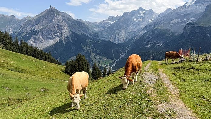Swiss village Kandersteg faces landslide risk from Spitze Stei rock Swiss village Kandersteg faces landslide risk from Spitze Stei rock