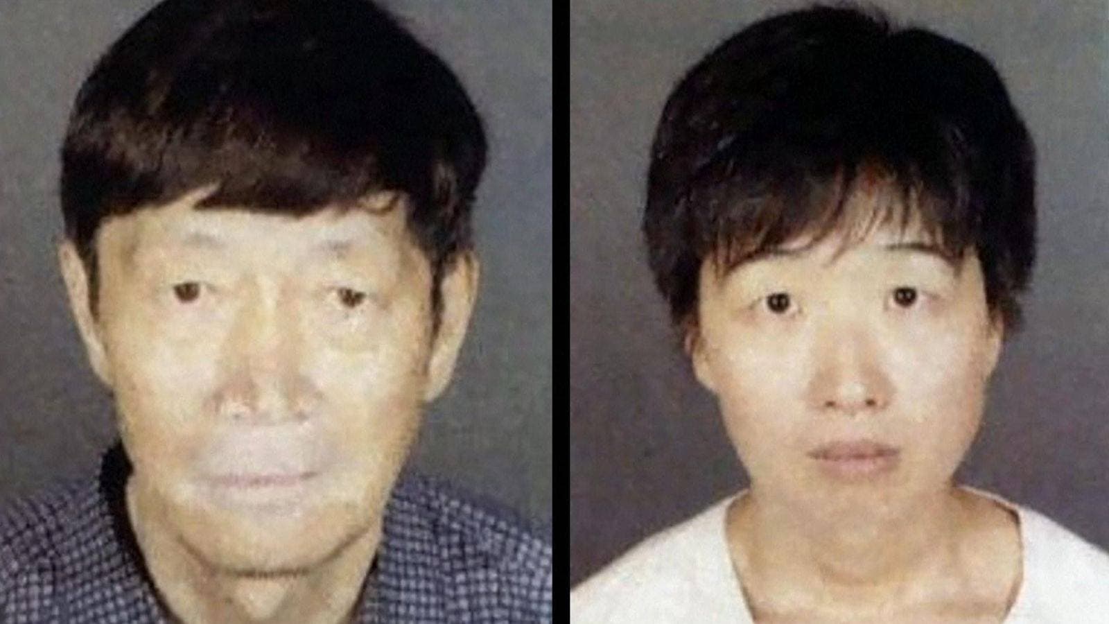 21 children taken into custody amid claims couple misled surrogate mothers across the US