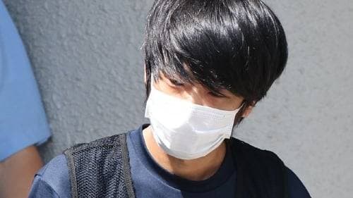 Man accused of killing Shinzo Abe pleads guilty