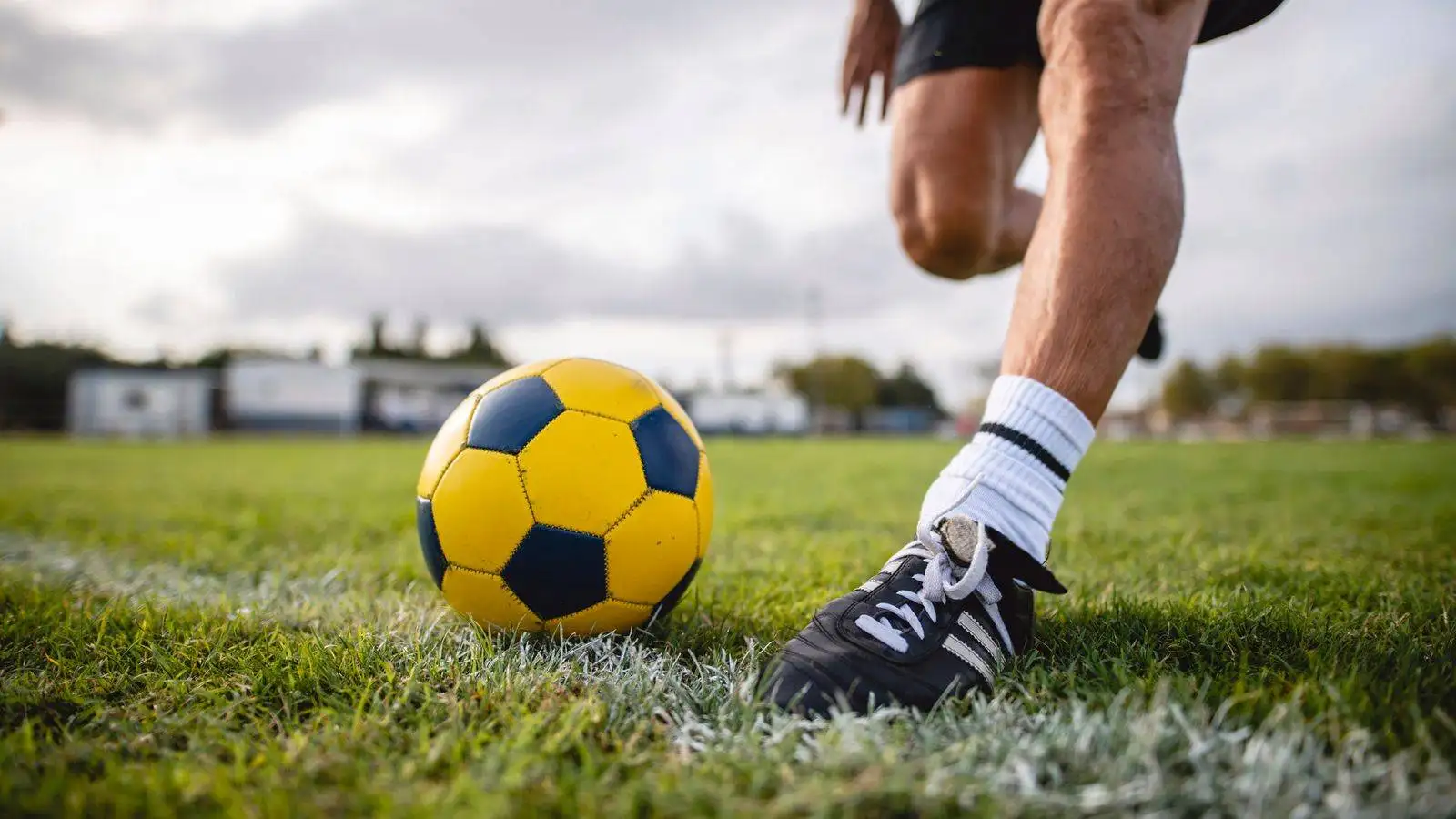 Premier league football fixtures and results wtx news