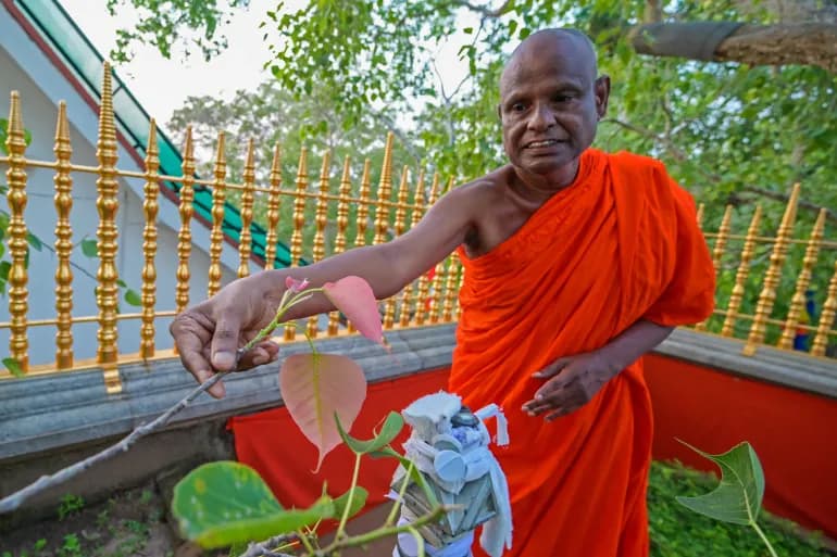 Senior Sri Lankan monk suspended following child sex abuse allegations Senior Sri Lankan monk suspended following child sex abuse allegations