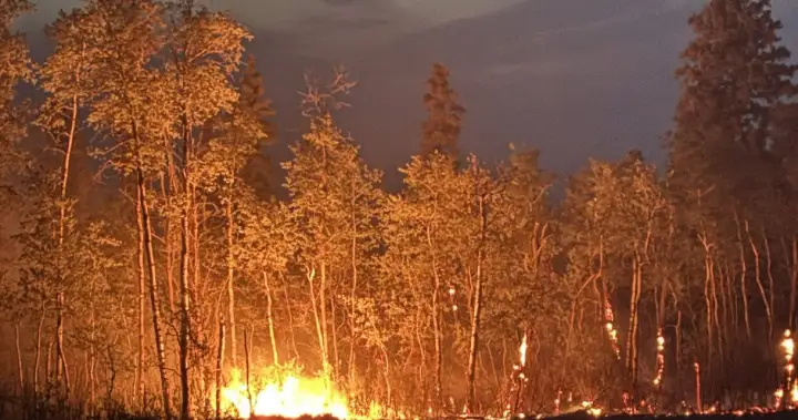 Evacuation order for Cayford wildfire in Saskatchewan lifted Evacuation order for Cayford wildfire in Saskatchewan lifted