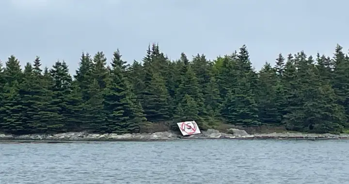 Whale sanctuary in Nova Scotia holds groundbreaking ceremony amid challenges Whale sanctuary in Nova Scotia holds groundbreaking ceremony amid challenges