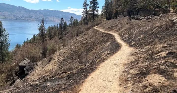 Illegal campfire suspected as cause of Kalamoir Park wildfire; park remains closed