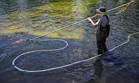 Former Olympian arrested for taking paint from Reflecting Pool in Bethesda Former Olympian arrested for taking paint from Reflecting Pool in Bethesda