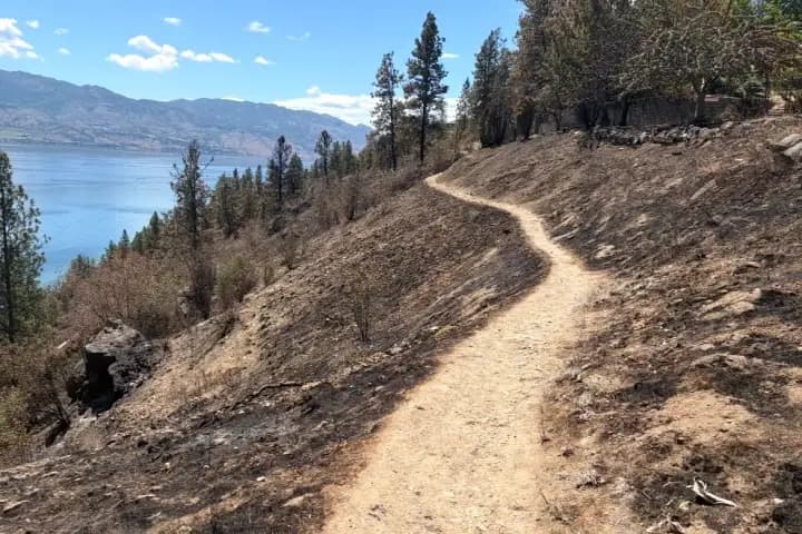 Illegal campfire suspected as cause of Kalamoir Park wildfire; park remains closed