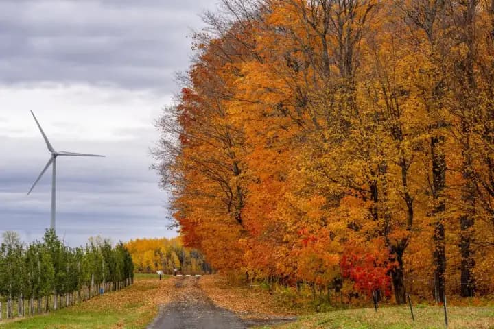 Nova Scotia government approves plans for largest onshore wind farm