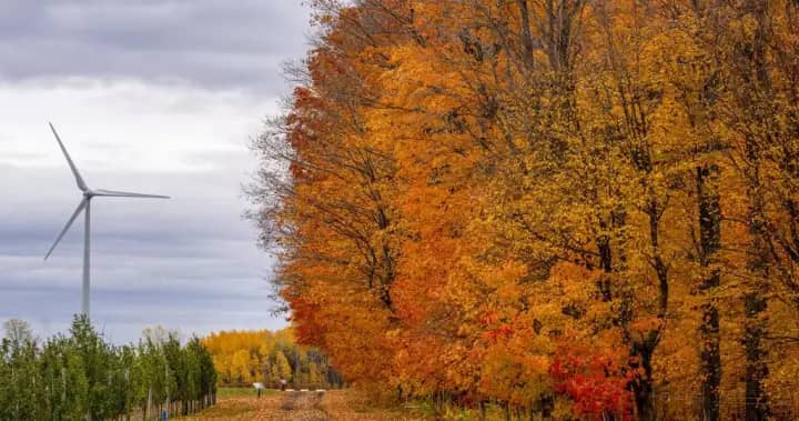 Nova Scotia government approves plans for largest onshore wind farm