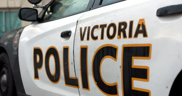 Three injured and two arrested following assault near Beacon Hill Park in Victoria Three injured and two arrested following assault near Beacon Hill Park in Victoria