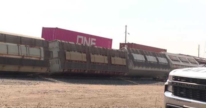 Investigation launched into train derailment in Regina rail yard Investigation launched into train derailment in Regina rail yard