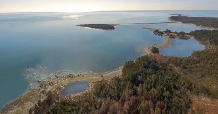 Whale sanctuary project secures 20-year lease in Nova Scotia amid opposition Whale sanctuary project secures 20-year lease in Nova Scotia amid opposition