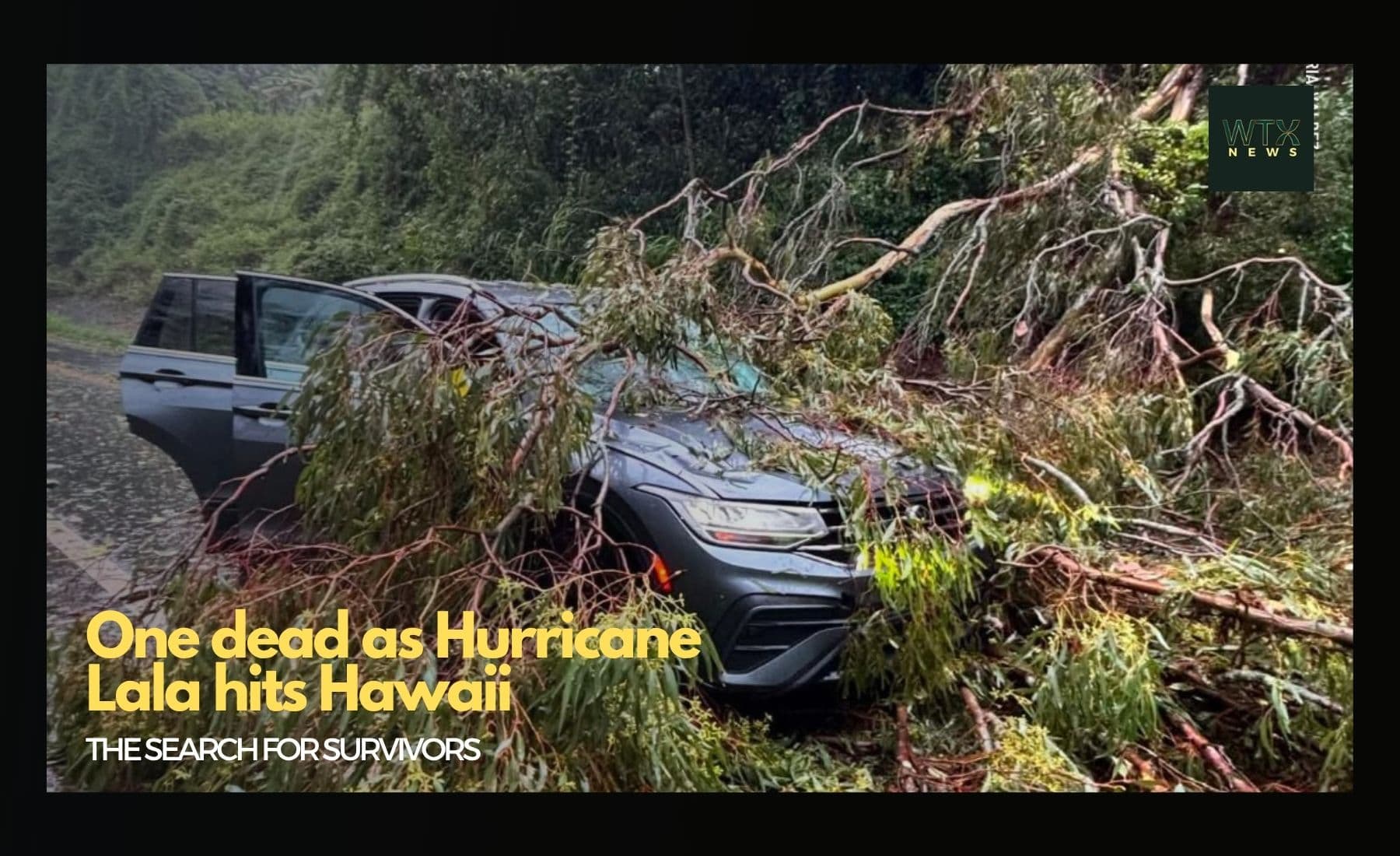 One dead as Hurricane Lala hits Hawaii with 91mph winds and heavy rain One dead as Hurricane Lala hits Hawaii with 91mph winds and heavy rain