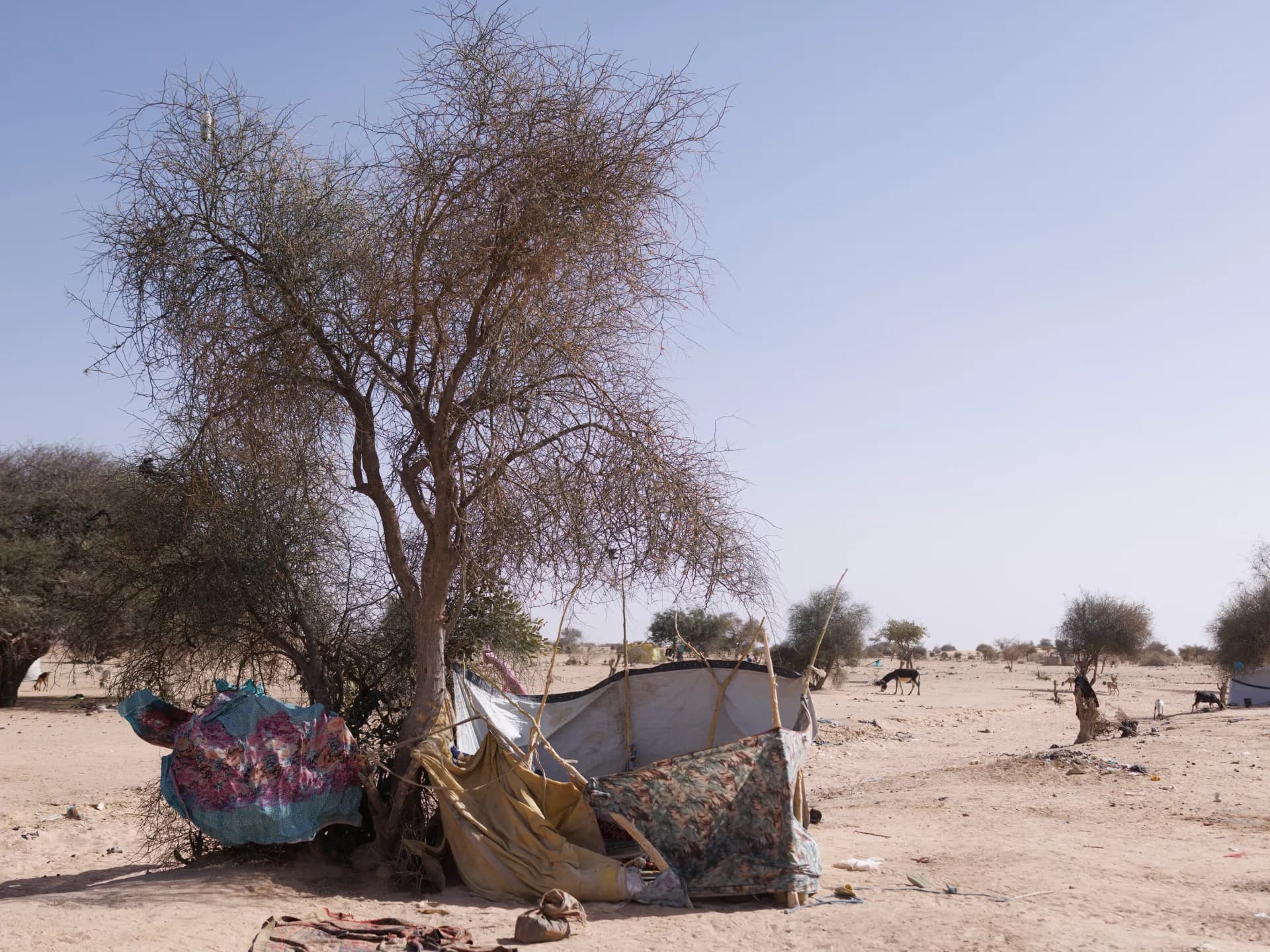 Chad accuses Sudan of conducting air strike that killed 12 near border Chad accuses Sudan of conducting air strike that killed 12 near border