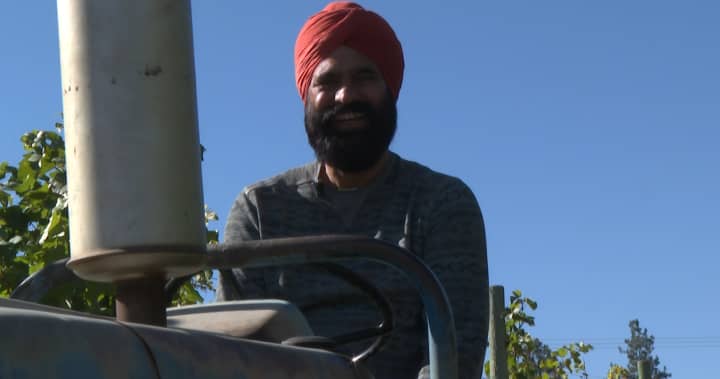 Okanagan growers report crop insurance fails to address climate change risks
