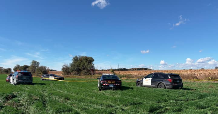 Two fatalities reported in plane crash and fire near Fergus, Ontario