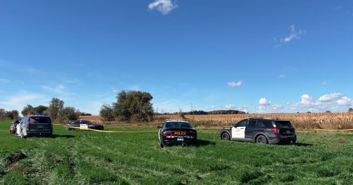 Two fatalities reported in plane crash and fire near Fergus, Ontario Two fatalities reported in plane crash and fire near Fergus, Ontario