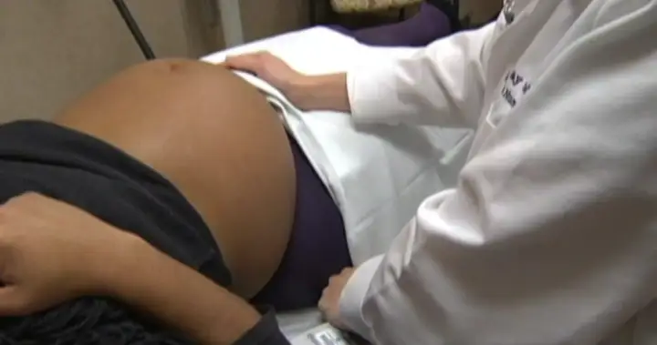 Federal IVF programme aimed at unifying diverse approaches, experts say Federal IVF programme aimed at unifying diverse approaches, experts say