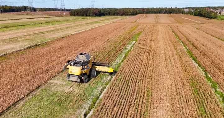 Quebec farmers oppose proposed high-speed rail project over land concerns Quebec farmers oppose proposed high-speed rail project over land concerns