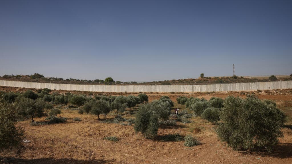 Israeli settlers attack European diplomats during Palestinian olive harvest