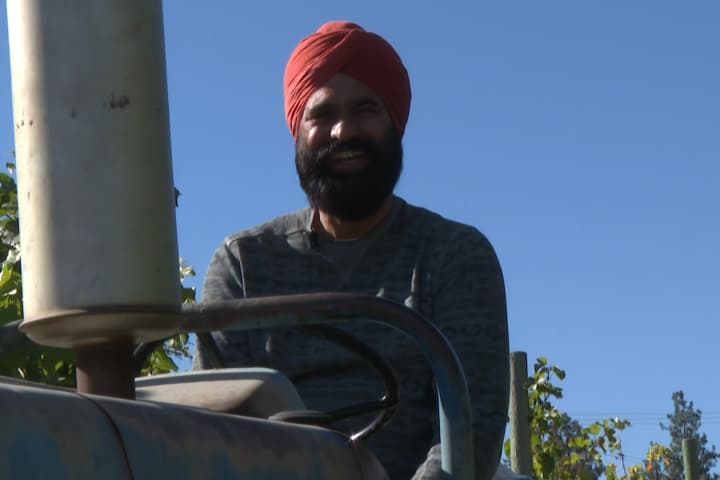 Okanagan growers report crop insurance fails to address climate change risks